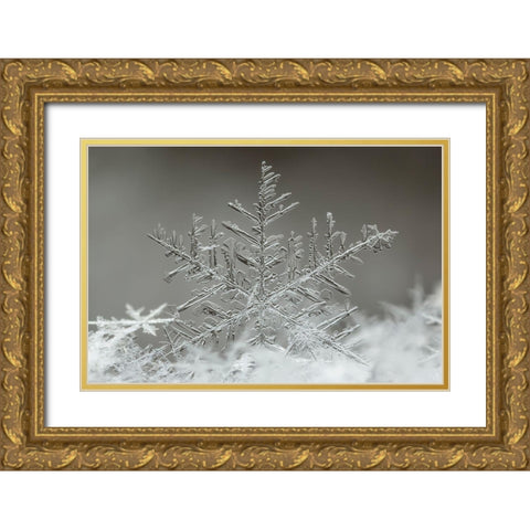 Snowflake Gold Ornate Wood Framed Art Print with Double Matting by Naidandorj, Tsolmon