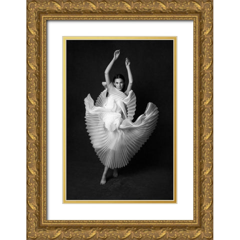 Swan Lake Gold Ornate Wood Framed Art Print with Double Matting by Naderi, Peyman