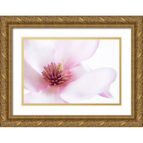 Freshness Gold Ornate Wood Framed Art Print with Double Matting by Karpova, Inna