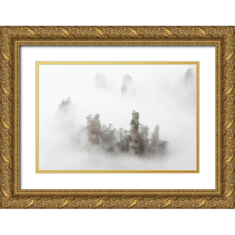 Zhangaije Gold Ornate Wood Framed Art Print with Double Matting by Marchegiani, Roberto