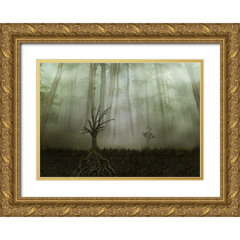 Root 1 Gold Ornate Wood Framed Art Print with Double Matting by Golchin, Aryana
