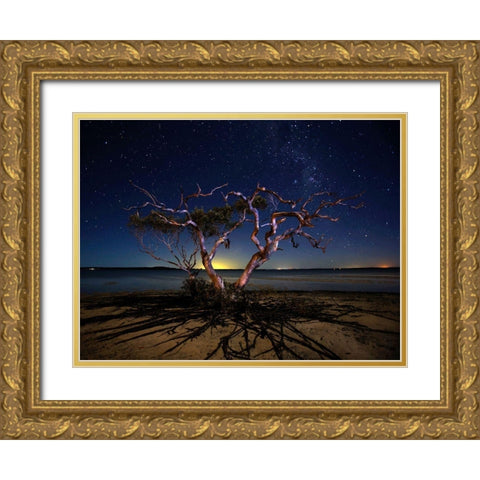 The Tree Gold Ornate Wood Framed Art Print with Double Matting by Brackstone, Mel