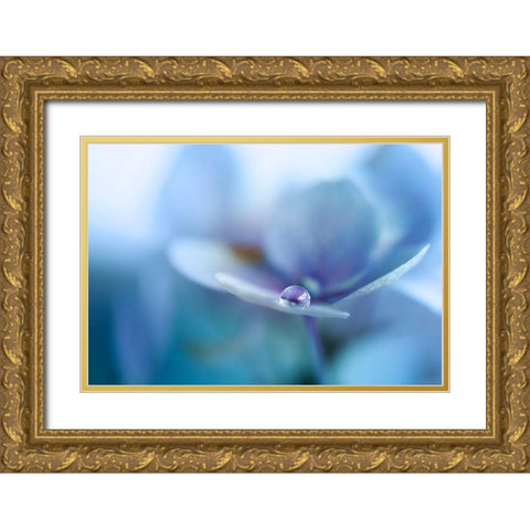 Reflection Gold Ornate Wood Framed Art Print with Double Matting by Van Deelen, Ellen