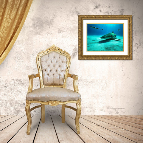 The Lemon Shark Gold Ornate Wood Framed Art Print with Double Matting by Melesan, Serge