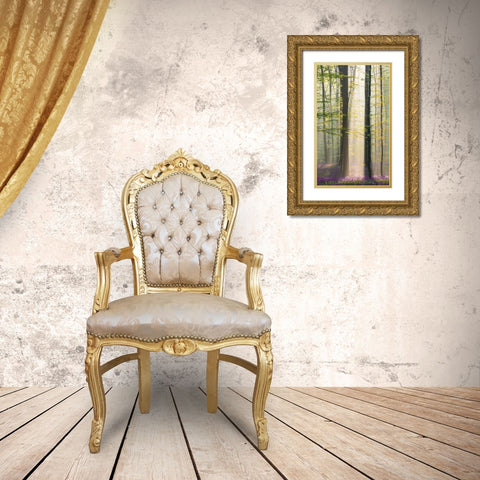 Misty Sunrise In Hallerbos Gold Ornate Wood Framed Art Print with Double Matting by VLAICU, Denisa