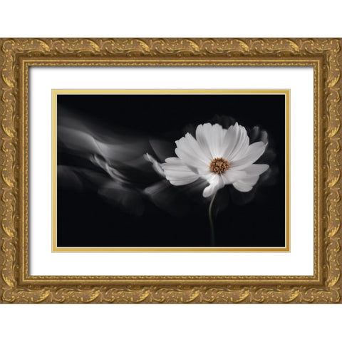 Symphony White Gold Ornate Wood Framed Art Print with Double Matting by Karpova, Inna