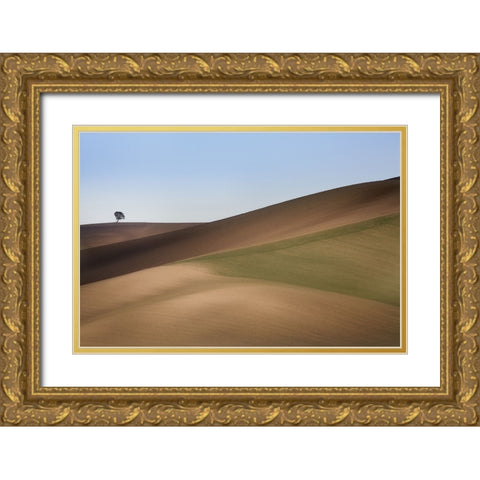 S.T. 009 Gold Ornate Wood Framed Art Print with Double Matting by Gray, Dorian