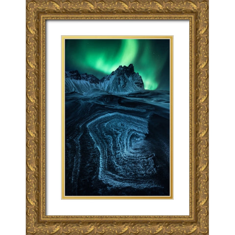 Arctic Signs Gold Ornate Wood Framed Art Print with Double Matting by Gastager, Daniel