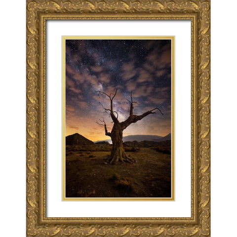 Lonely Gold Ornate Wood Framed Art Print with Double Matting by Ionut Dascalu, Andrei