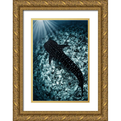 Ocean Line Gold Ornate Wood Framed Art Print with Double Matting by Narchuk, Andrey