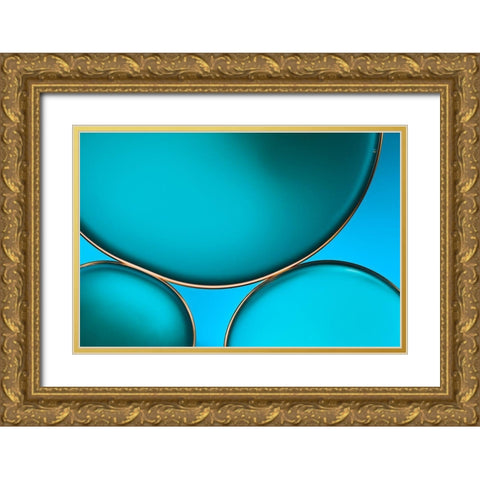 Oil And Water Gold Ornate Wood Framed Art Print with Double Matting by Disher, Mandy