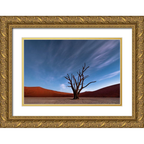 Deadvlei At Dusk Gold Ornate Wood Framed Art Print with Double Matting by Ruoppolo, Luigi