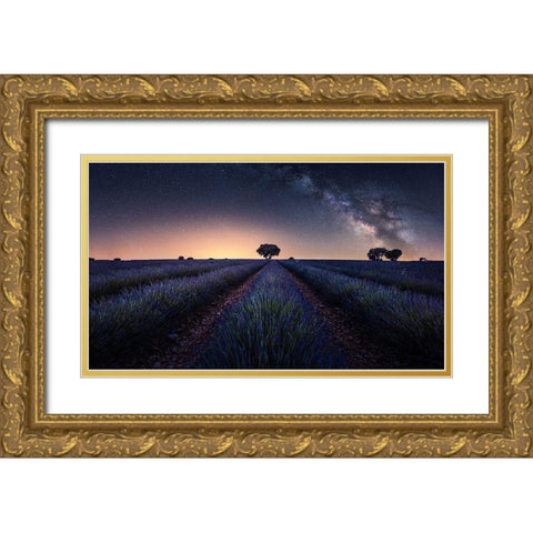 Lavender Fields Gold Ornate Wood Framed Art Print with Double Matting by Ruiz Dueso, Jorge