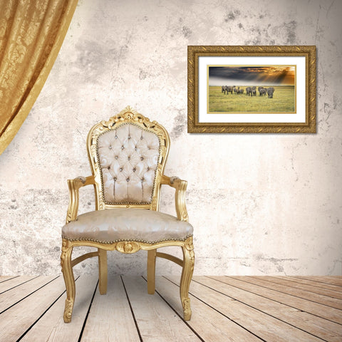 For The Love Of Elephants Gold Ornate Wood Framed Art Print with Double Matting by C. Sink, Jeffrey