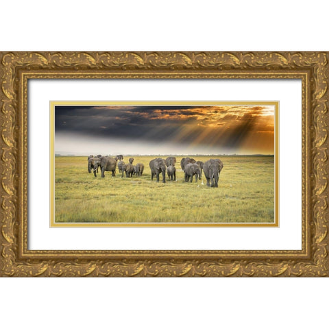 For The Love Of Elephants Gold Ornate Wood Framed Art Print with Double Matting by C. Sink, Jeffrey