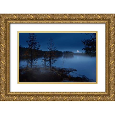 Night Mist Gold Ornate Wood Framed Art Print with Double Matting by Georgieva V, Nikki