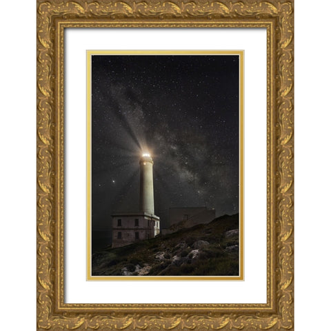 S.T. 007 Gold Ornate Wood Framed Art Print with Double Matting by Gray, Dorian