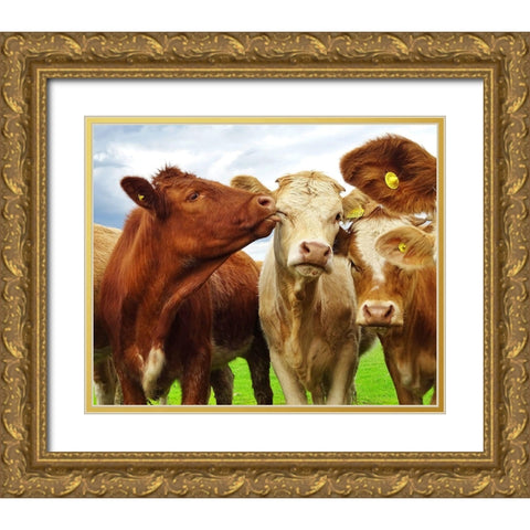 Pre Shoot Gold Ornate Wood Framed Art Print with Double Matting by Clark, Ray
