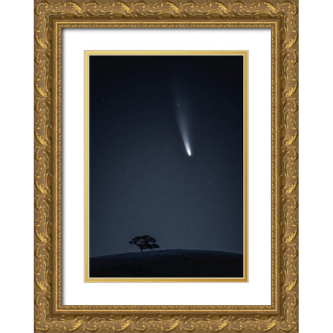 Visitor Gold Ornate Wood Framed Art Print with Double Matting by Ning, Aidong