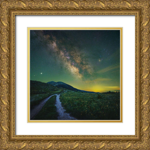 Keep Dreaming Gold Ornate Wood Framed Art Print with Double Matting by Ivanov Yordanov, Hristo