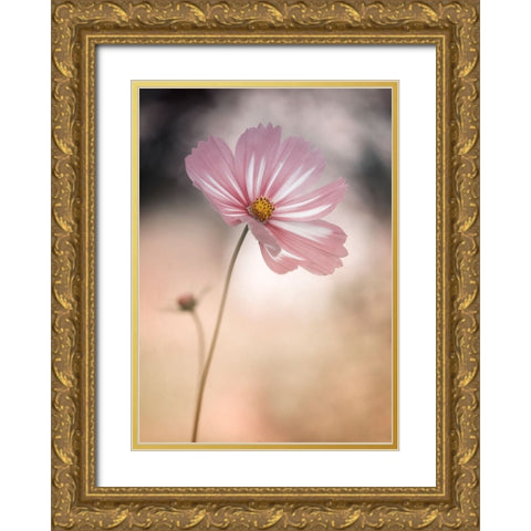 Cosmos Gold Ornate Wood Framed Art Print with Double Matting by Gronkjar, Lotte