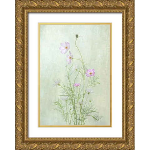 Cosmos Gold Ornate Wood Framed Art Print with Double Matting by W., Catherine