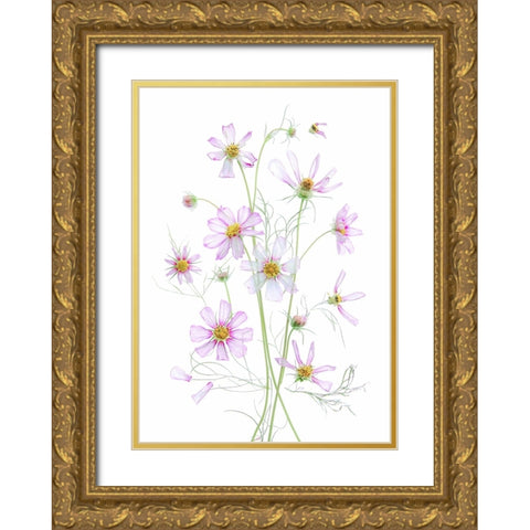 Cosmos Gold Ornate Wood Framed Art Print with Double Matting by Zhou, Fangping