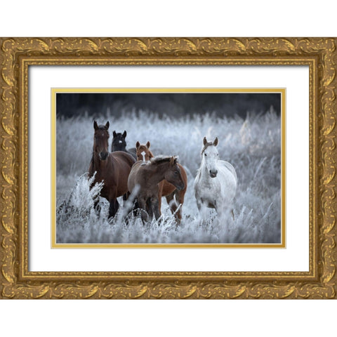 One Frosty Morning.. Gold Ornate Wood Framed Art Print with Double Matting by Sokolovsky, Vlad