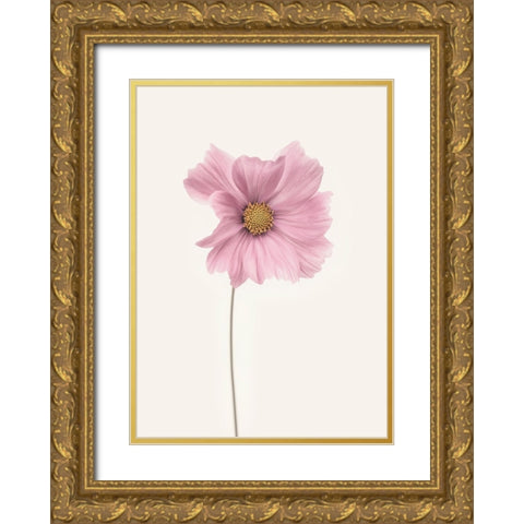 Cosmos Flower Gold Ornate Wood Framed Art Print with Double Matting by Gronkjar, Lotte