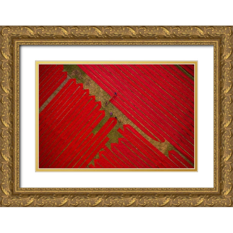 Red Cloths Gold Ornate Wood Framed Art Print with Double Matting by Khan Ronnie, Azim