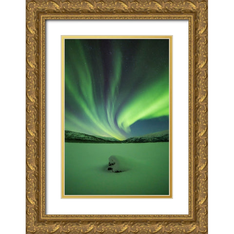 Branching Lights Gold Ornate Wood Framed Art Print with Double Matting by Mikelborg, Niklas