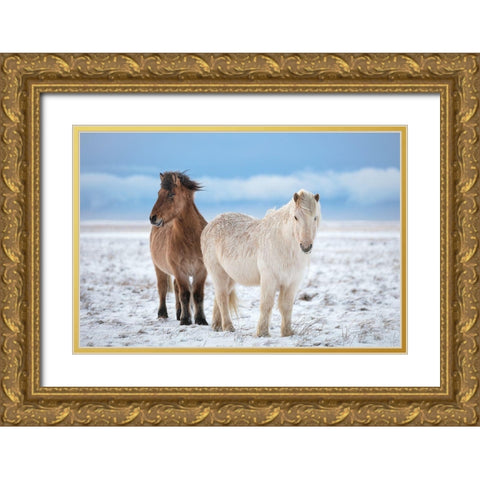 B R O T H E R S Gold Ornate Wood Framed Art Print with Double Matting by Fegari