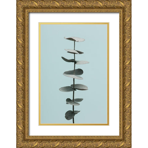 Eucalyptus Blue No 1 Gold Ornate Wood Framed Art Print with Double Matting by 1x Studio III