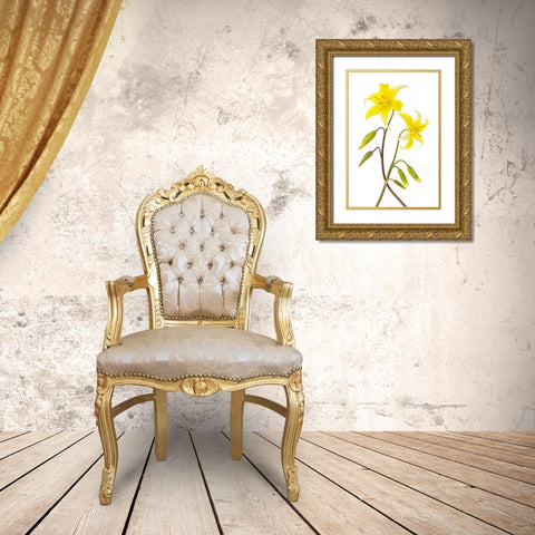 Dogtooth Violet Gold Ornate Wood Framed Art Print with Double Matting by Parker, Jacky