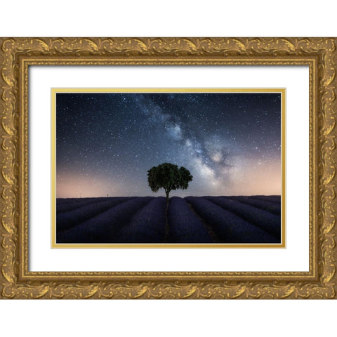 Tree And Milky Way Gold Ornate Wood Framed Art Print with Double Matting by Ruiz Dueso, Jorge