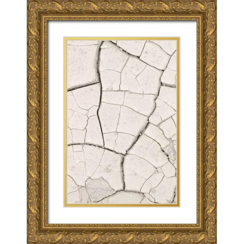 Clay Wall_Light Sand Gold Ornate Wood Framed Art Print with Double Matting by 1x Studio III