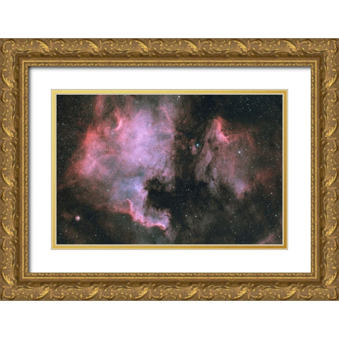 North America And Pelican In Cygnus Gold Ornate Wood Framed Art Print with Double Matting by Astroberry, Sismo