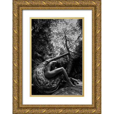 Wild Gold Ornate Wood Framed Art Print with Double Matting by Mannini, Roberto