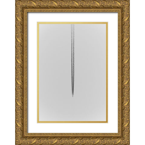 Trails. Gold Ornate Wood Framed Art Print with Double Matting by Gogami Farina, Alessandro