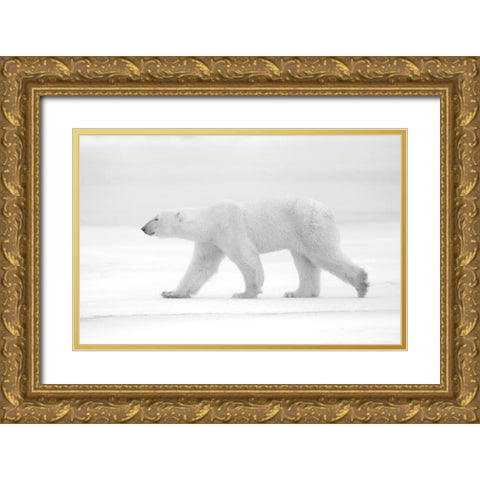 Just White Gold Ornate Wood Framed Art Print with Double Matting by Pozzi, Marco