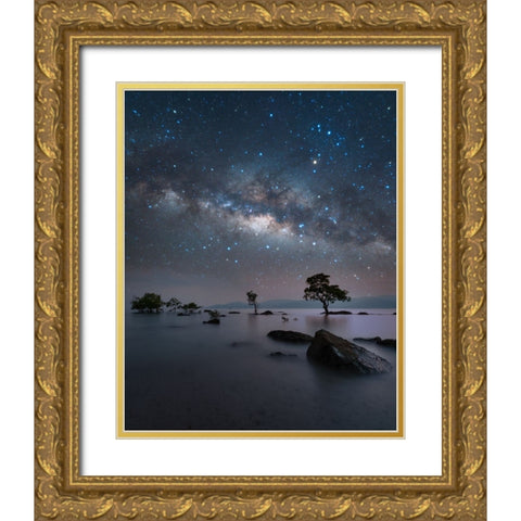 Chidiya Tapu Gold Ornate Wood Framed Art Print with Double Matting by Chander, Vikas