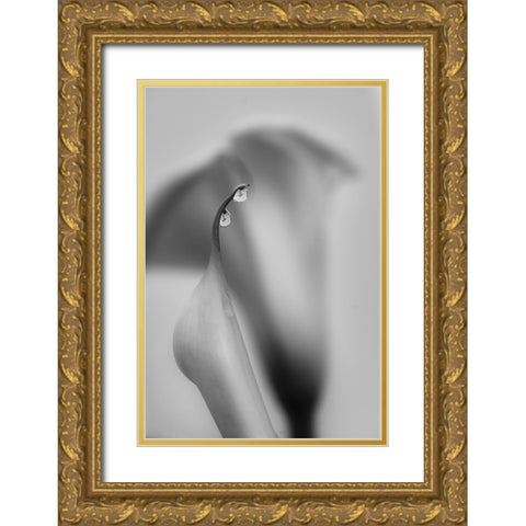 Two Drops Gold Ornate Wood Framed Art Print with Double Matting by Chenglu, Simon