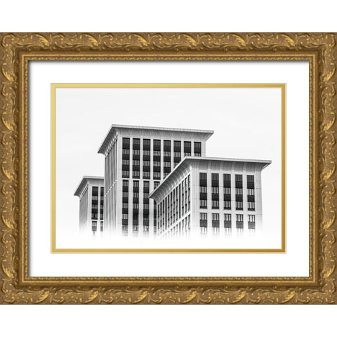 Prime Time Residential Complex Gold Ornate Wood Framed Art Print with Double Matting by Kotov, Andrey
