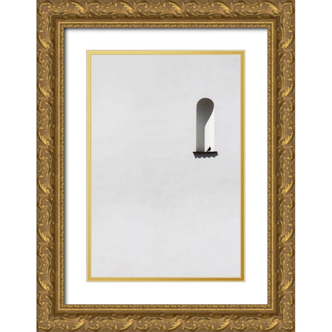 Single dove Gold Ornate Wood Framed Art Print with Double Matting by Cederberg, Marcus
