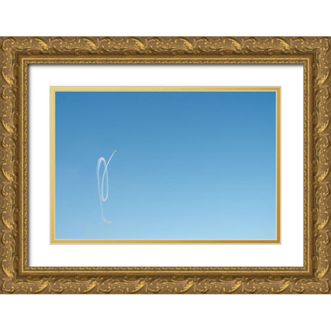 Wohooo Gold Ornate Wood Framed Art Print with Double Matting by Cederberg, Marcus