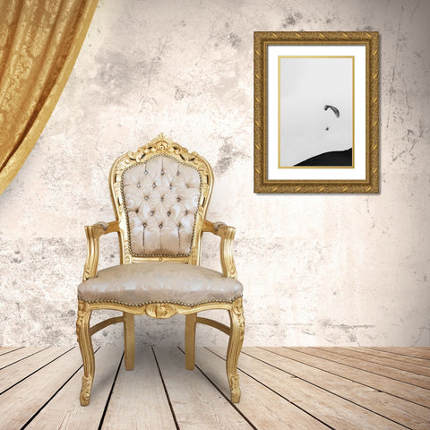 Paragliding Gold Ornate Wood Framed Art Print with Double Matting by Wang, Bill