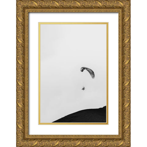 Paragliding Gold Ornate Wood Framed Art Print with Double Matting by Wang, Bill