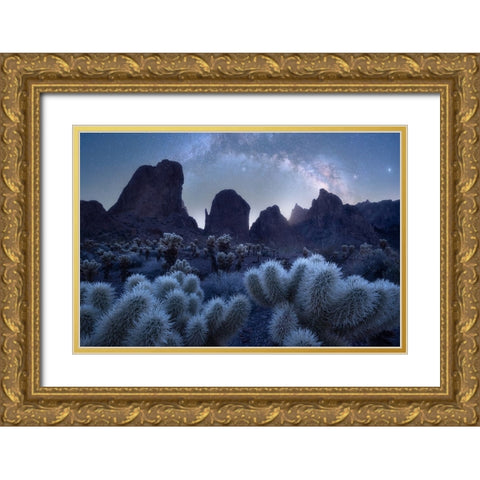 Queen Of Arizona And Her Crown Gold Ornate Wood Framed Art Print with Double Matting by De, Pritam