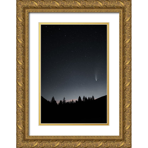 Comet Neowise Gold Ornate Wood Framed Art Print with Double Matting by Ficel, Michal