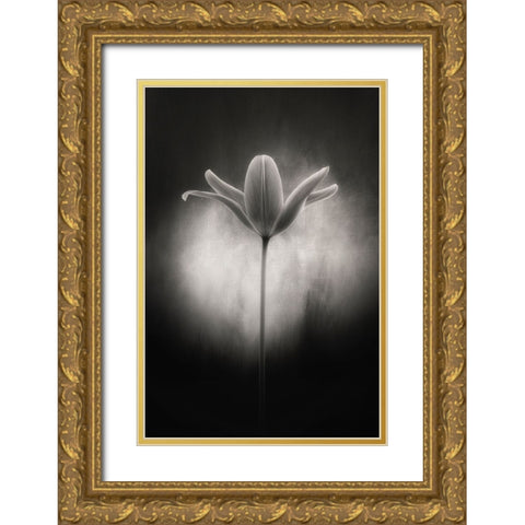 Tulip in black and white Gold Ornate Wood Framed Art Print with Double Matting by Gronkjar, Lotte